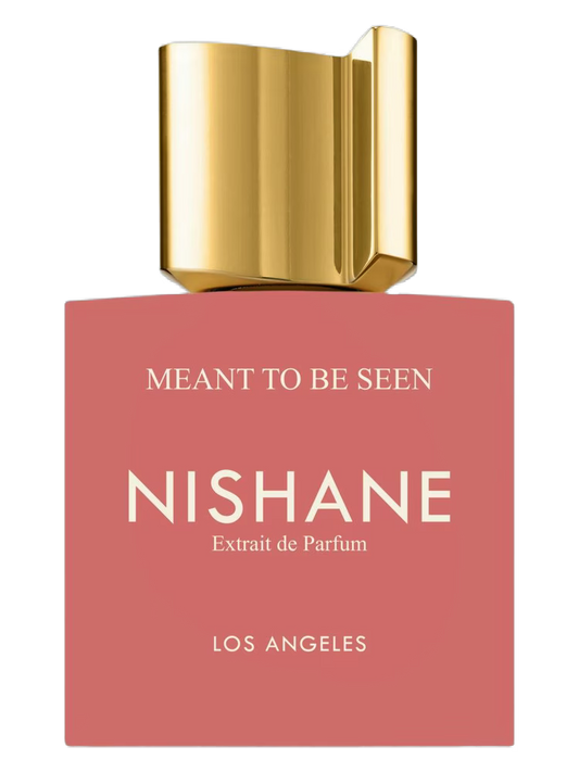 NISHANE Meant To Be Seen Extrait de Parfum 100ml