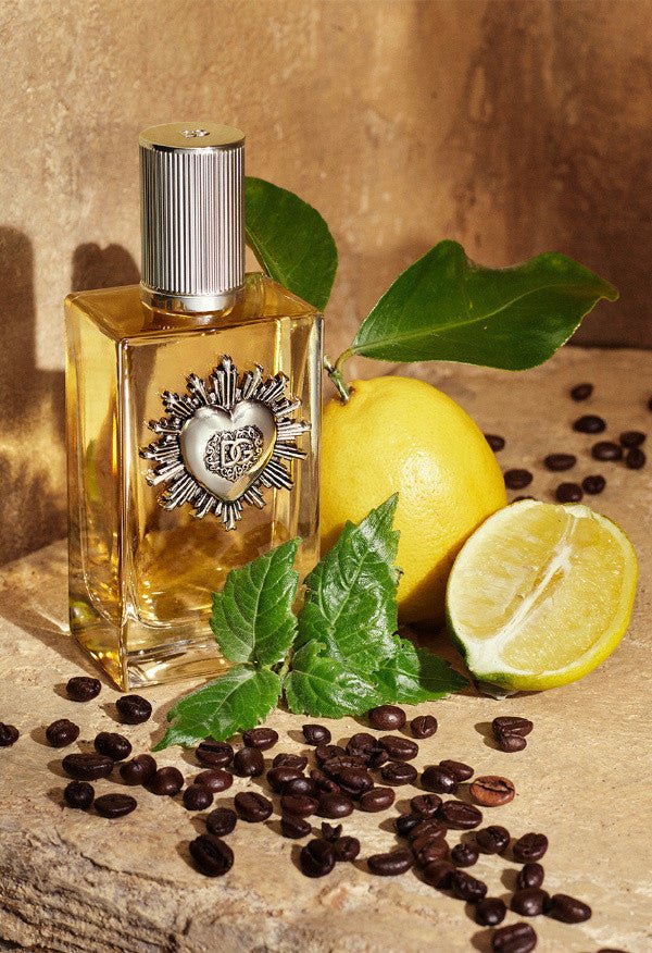 Dolce & Gabbana Devotion For Men EDP 100ml - KIISAS Perfumes