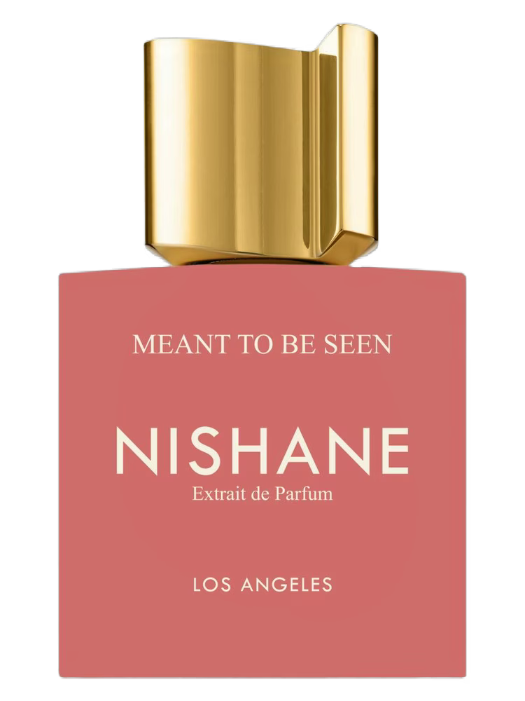 NISHANE Meant To Be Seen Extrait de Parfum 100ml