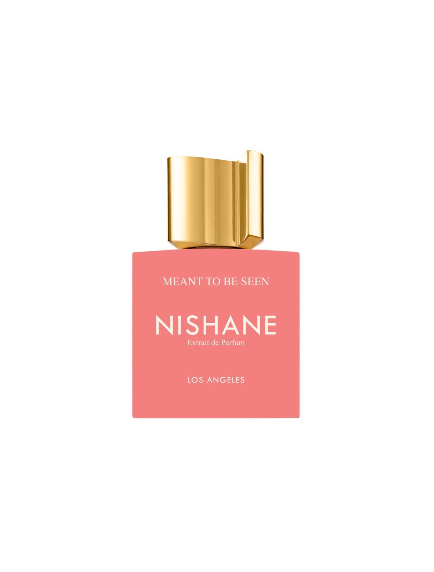 NISHANE Meant To Be Seen Extrait de Parfum 100ml - KIISAS Perfumes